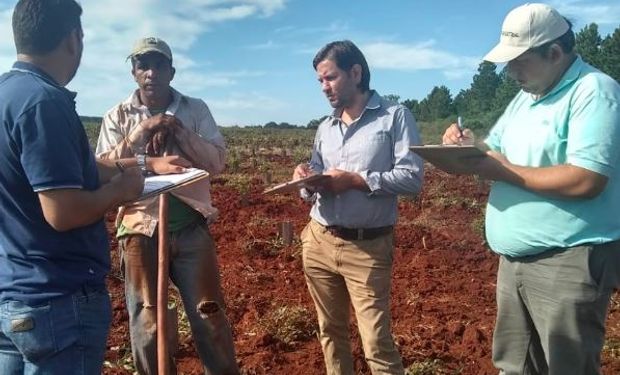 Trabajadores rurales: otorgarán prestaciones extraordinarias para víctimas de presunta trata de personas