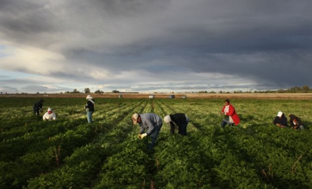 ¿Es aplicable el trabajo rotativo o por equipo en el ámbito rural?