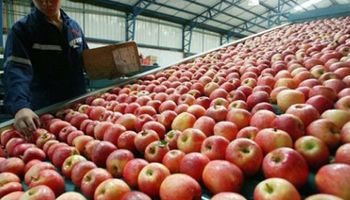 Arrancó la negociación salarial en el gremio rural: piden 22% de aumento