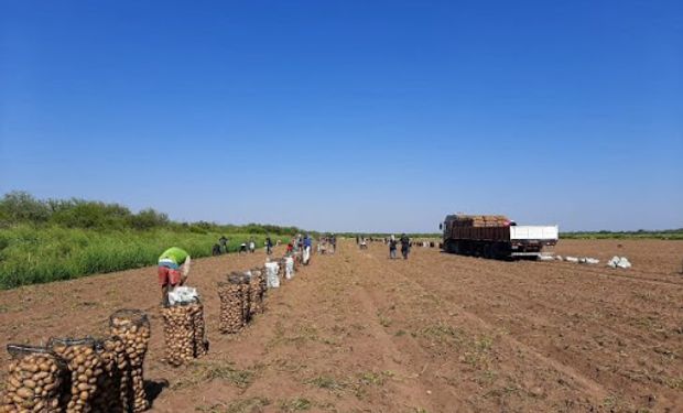 Detalle: los nuevos salarios de los peones rurales y del personal jerarquizado del campo