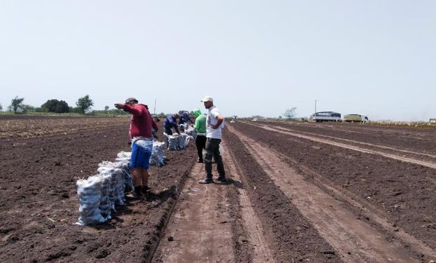 "Insólita" denuncia y posterior aclaración por el bono para trabajadores rurales