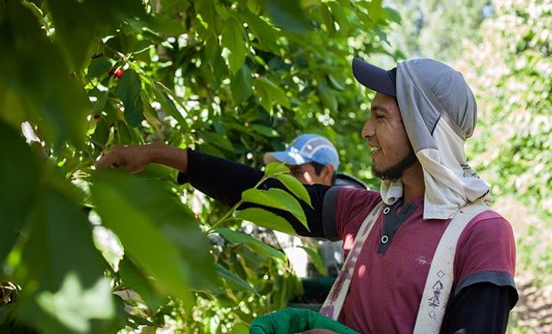 Trabajadores rurales: cómo cobrar la prestración por desempleo a través de cuenta bancaria