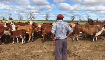Aumentó un 32 % la prestación por desempleo para los trabajadores rurales