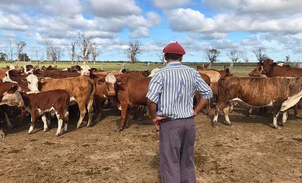 Aumentó un 32 % la prestación por desempleo para los trabajadores rurales