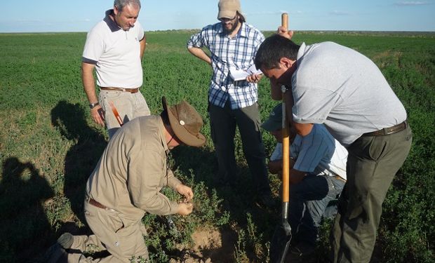 ¿Cuánto trabajo genera el campo?