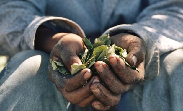 Su foco está puesto en las provincias de Buenos Aires, Santa Fe y Mendoza, con particular énfasis en tres sectores productivos: ajo, algodón y tomate.