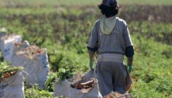 Tipos de trabajo que constituyen una labor peligrosa para menores