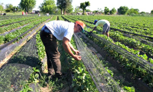 El ámbito al que se aplica la solidaridad es amplio aludiendo a la “actividad agraria”.