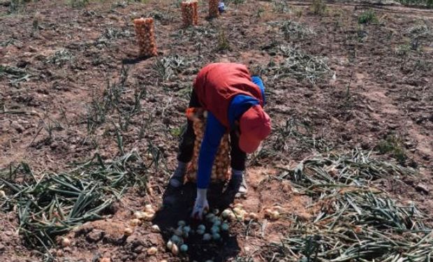 Detectaron trabajo infantil prohibido en un establecimiento hortícola en Santiago del Estero