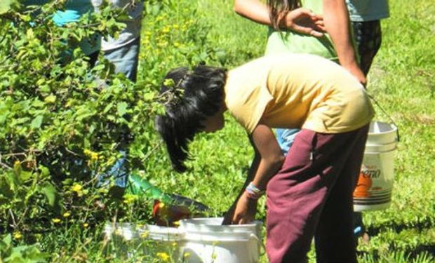 El Régimen Agrario prohíbe expresamente ocupar a personas menores de dieciocho años en trabajos nocturnos.