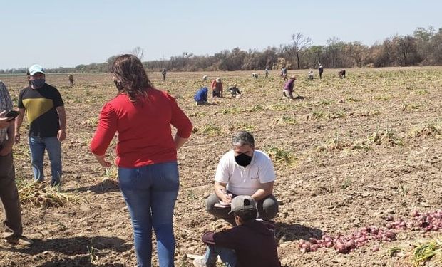 Día Mundial contra el Trabajo Infantil: por qué se celebra hoy y qué se hace en Argentina