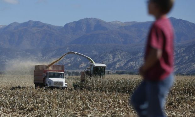 Prohibición del trabajo infantil y protección del trabajo adolescente en el ámbito rural.