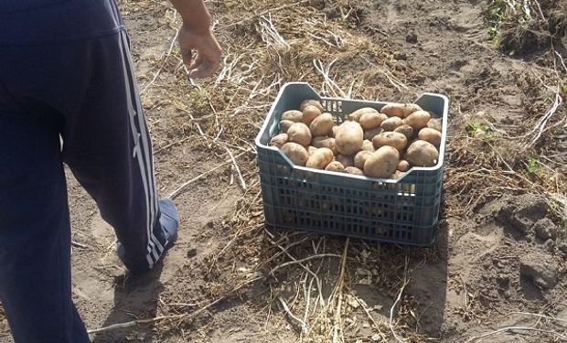 En el presente hay  323.745 empleados formales en el territorio nacional.