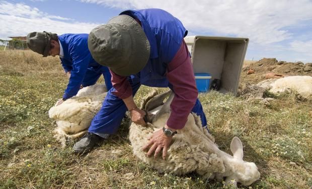 El nuevo Régimen de Trabajo Agrario contiene una serie de modificaciones e incorporaciones sustanciales. Aquí, los detalles.