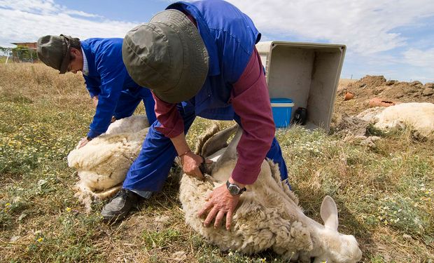 Modificación de tareas en el Régimen de Trabajo Agrario.