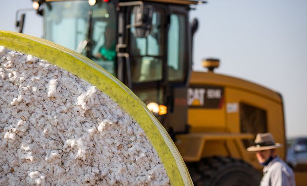 A participação do agronegócio no total de ocupações do Brasil foi de 26,9% no segundo trimestre de 2023. (Foto: Wenderson Araujo)