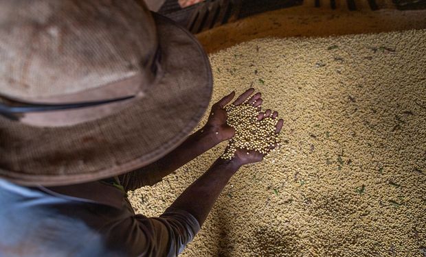 Número de pessoas atuando no agronegócio no terceiro trimestre de 2023 cresceu 1,4% (aproximadamente 396,07 mil pessoas). (Foto - CNA)