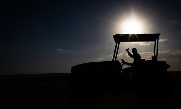 Agro brasileiro registra recorde de 28,4 milhões de trabalhadores no 3º trimestre de 2024