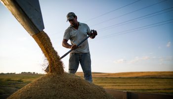 Mercado de trabalho: agro emprega 28,2 milhões e responde por 26% das ocupações no Brasil
