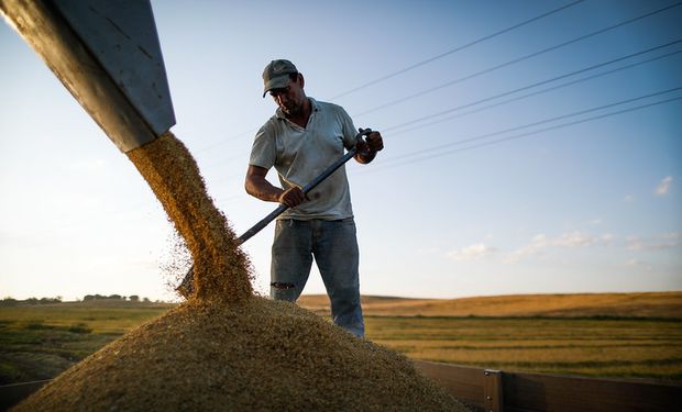 Mercado de trabalho: agro emprega 28,2 milhões e responde por 26% das ocupações no Brasil