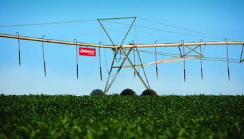 Tracan e New Irrigação criam empresa para ampliar irrigação em SP e MS