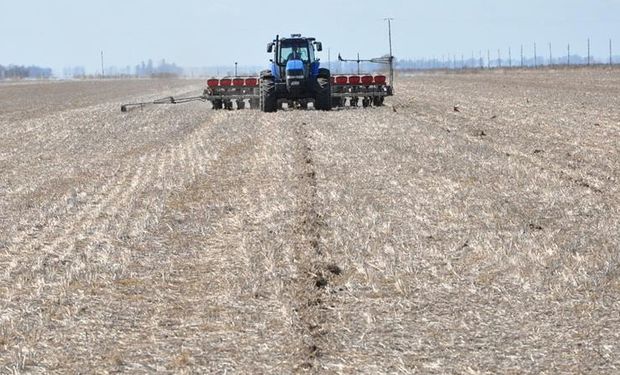 Campaña 21/22: anticipan una ampliación de la superficie agrícola 