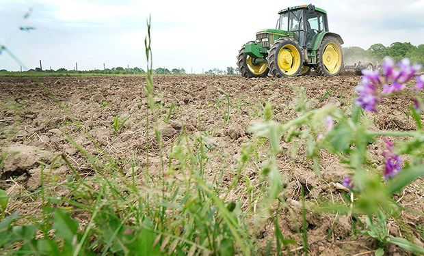 Récord: el valor de la hectárea agrícola superó los US$ 35.000 en Estados Unidos