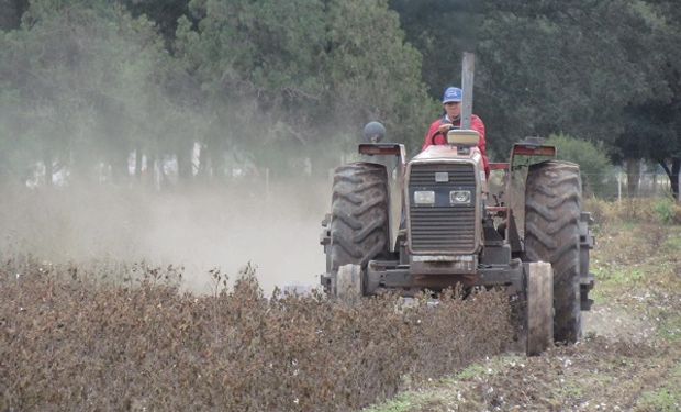 Piden que los créditos para la compra de maquinaria agrícola cubran el 100 % del valor 