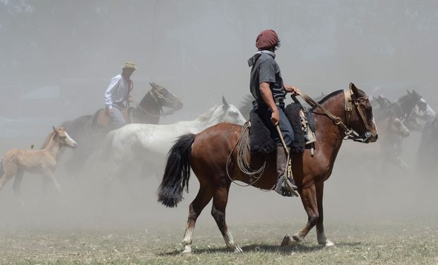 Ese gaucho presente en sus épocas constituyó una clase social representativa para la Argentina.