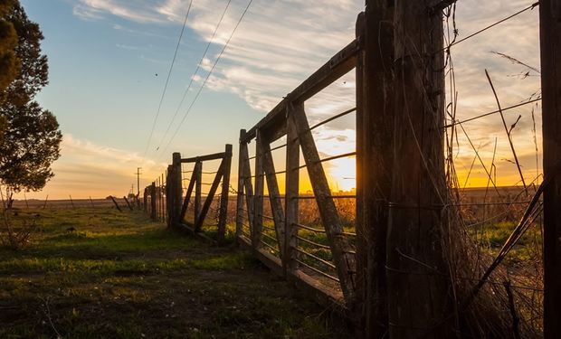 El campo, ¿podría comunicar mejor?