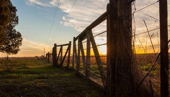 Una entidad del agro tomó posición de cara a las elecciones: "Se define el rumbo del país"