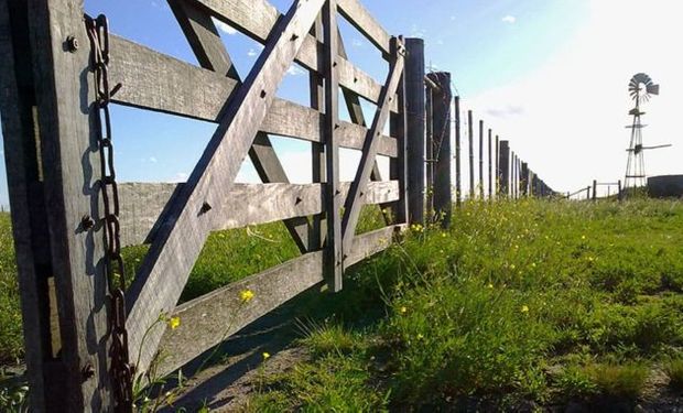 ¿Se gana o se pierde en las empresas del agro?