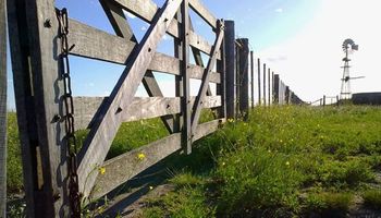 Una reflexión sobre la regulación de la incapacitación definitiva del trabajador rural