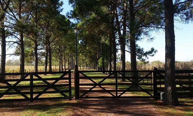 Cae un 4 % la actividad inmobiliaria rural y alcanza el nivel más bajo en lo que va del año