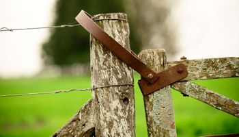 Arrendamiento de inmuebles rurales: aspectos impositivos a tener en cuenta