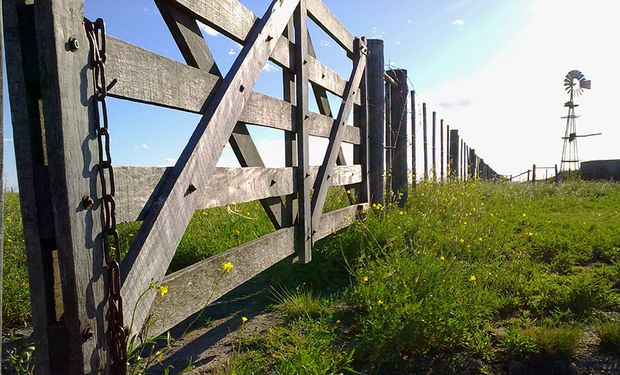 El mercado inmobiliario rural se enfría por las elecciones: a cuánto se vende la hectárea de los más buscados