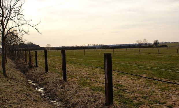 Si se mide en dólares, el precio de los alquileres asciende un 12,5% a 256 dólares por hectárea.