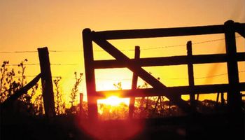 Inmobiliario Rural: el agro analiza cómo reaccionar