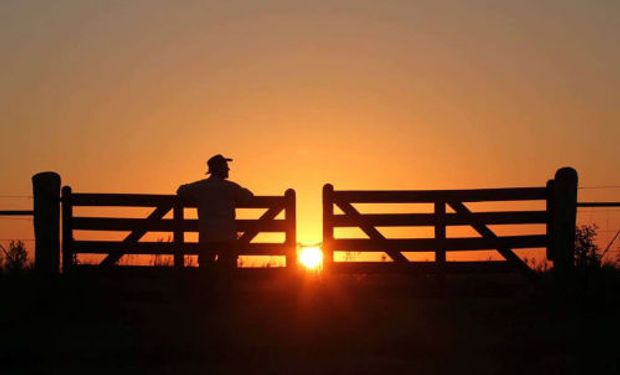 Señales alentadoras para el sector agropecuario.