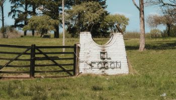 Alquilar un campo en Córdoba cuesta hasta US$ 612 por hectárea: así evolucionó el costo desde el 2011