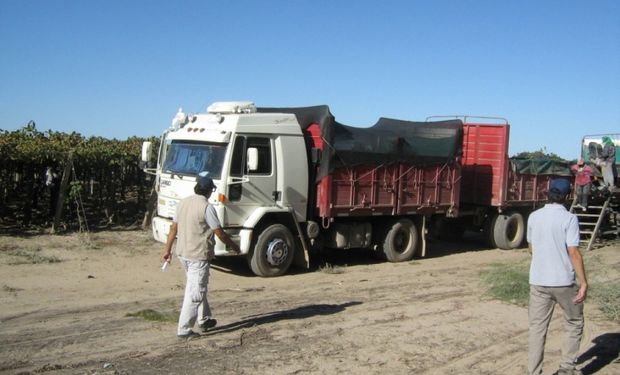 Permiso de circulación en la cuarentena: qué documento se necesita en el sector agropecuario