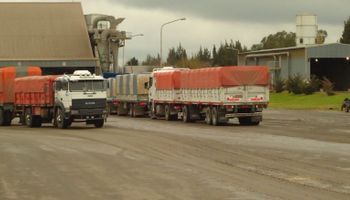 Se oficializaron las nuevas tarifas referenciales de fletes de granos