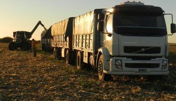 Transportistas de cereales advierten que trabajan un 30% menos que hace un año