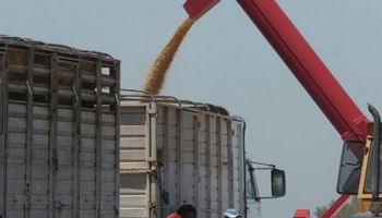 Transportar granos en Argentina es hasta un 76% más caro que en Brasil