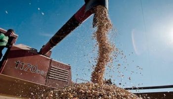 Los fletes representan hasta 21% de los ingresos de los productores
