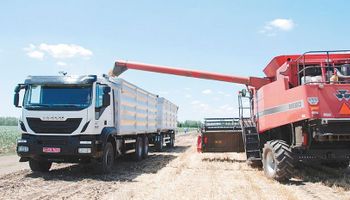 Transportar la cosecha de Córdoba al puerto demandará más de 750.000 camiones