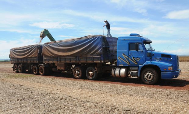 De acuerdo al informe, Brasil cuenta con una infraestructura bastante deficiente para el manejo de las exportaciones de granos.