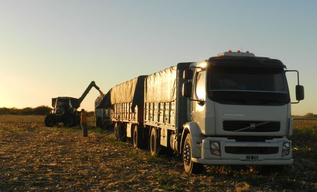 La huelga afecta al transporte de granos en plena cosecha brasileña.