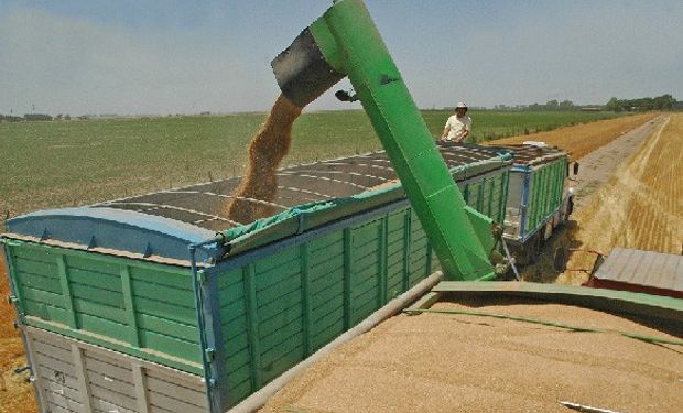 Pérdidas de granos por transporte en camiones