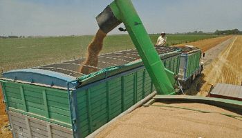 La pulseada económica del agro brasileño